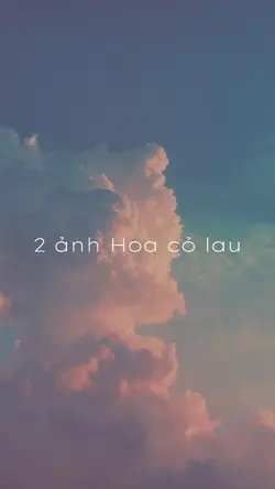 2 ảnh hoa cỏ lau