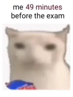 me before the exam