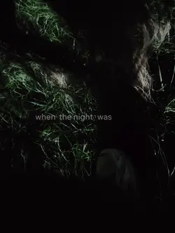 to the night we met 