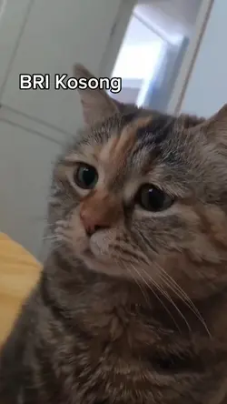 Kosong