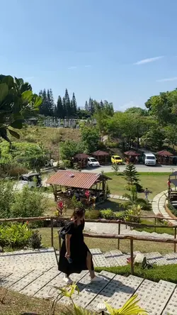 SVD Farm 