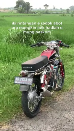 bahan sw mu bolo