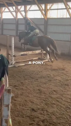 A PONY