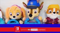 Nintendo Switch Sky
