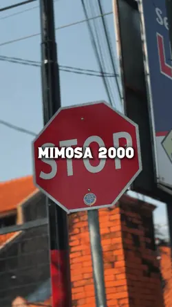 MIMOSA 2000