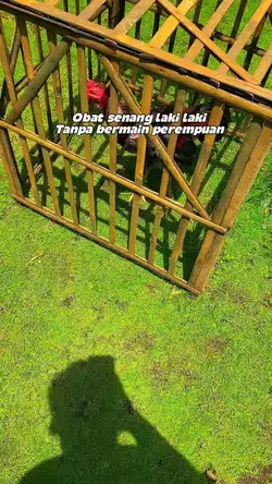 Story 