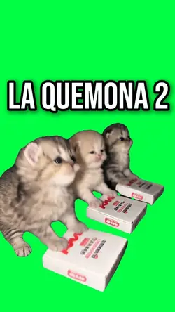 PIZZA CAT DANCE