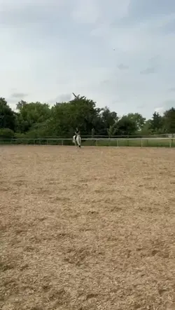 Ridingg