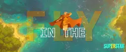 fly in the sky