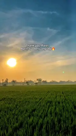Thank you Maret