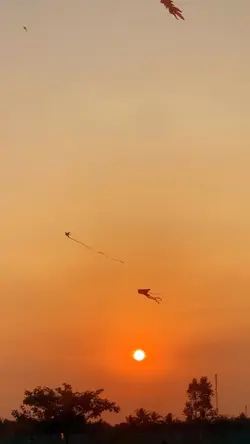 cinematic sunset