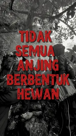 tidak semua anjing