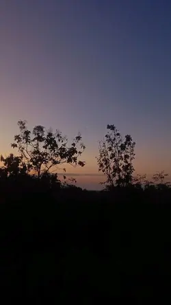 Jangan Ada Dusta