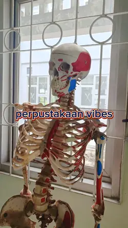perpustakaan vibes