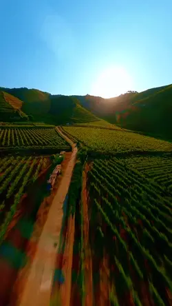 19 videos or photos 