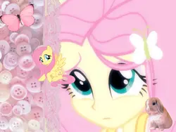 fluttershy 🦋