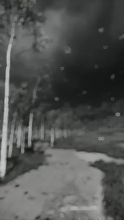 Dark slowmotion