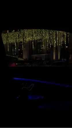 Night Out 