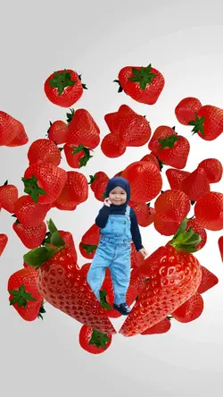 Baby Strawberry ¹³