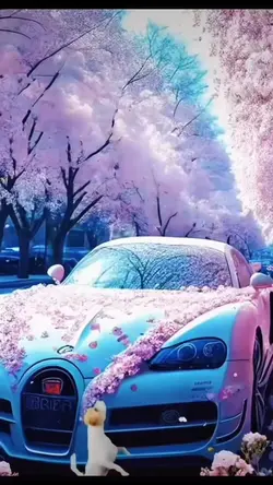 Nice