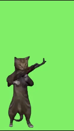 Gato louco 