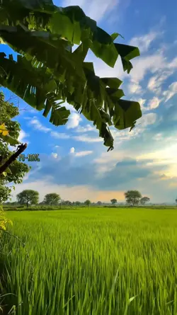 ទេសភាពស្រុកស្រែ