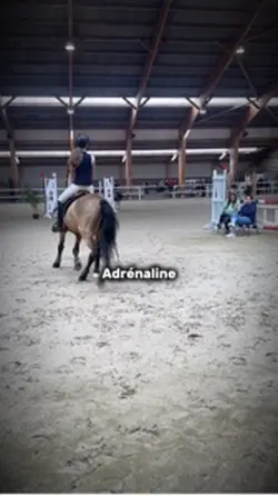 L’entrée en piste 🤩🤩