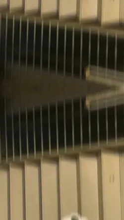 lagi viral?
