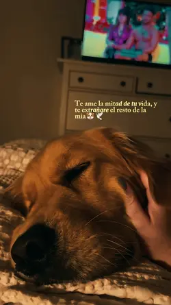 Te extrañaré siempre