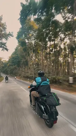 Vespa Knalpot trmpet
