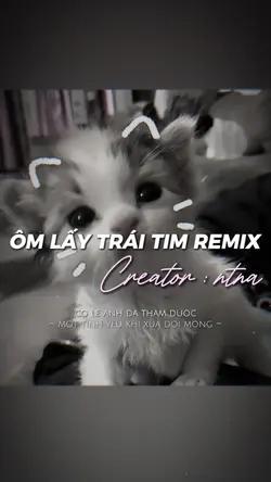 ôm lấy meo meo