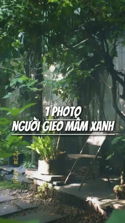 1 ảnh