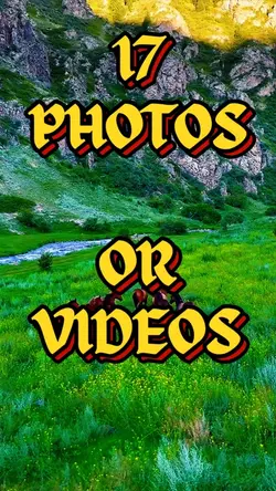 17 Photo Or Video