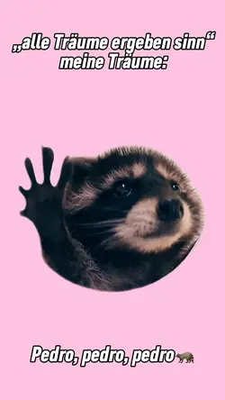 waschbär tanzt meme