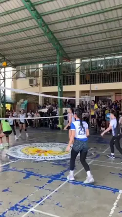 Volleyball Slowmo 