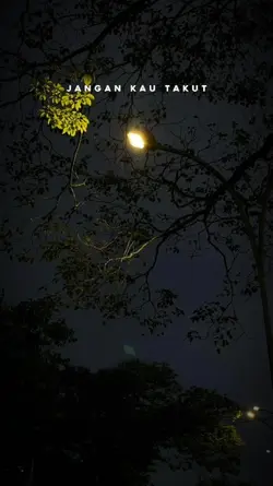 bulan bintang teman