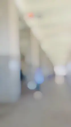 Pare Parinda Gujju
