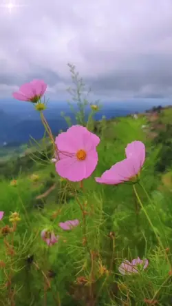 ลานเทสะเทือน