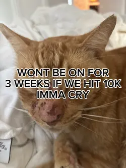 ye