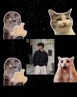 new template 