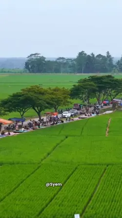 jalan jalan