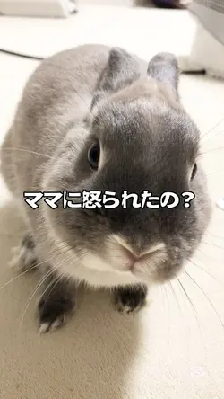 ままに怒られたラルフくん⁉️