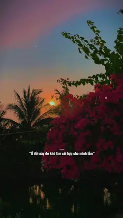 Mẫu 1 video ảnh 