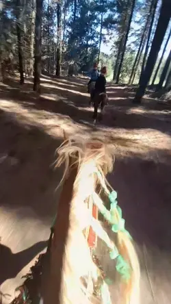 Slowmo flash!