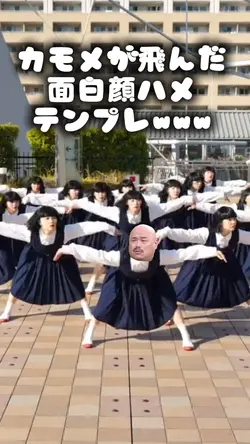 カモメが飛んだ面白顔ハメテンプレwww