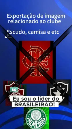 Líder do Brasileirão