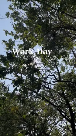 Workday with Me