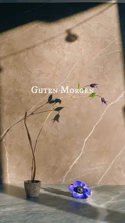 Guten Morgen 