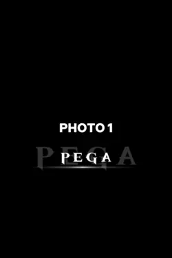 PEGA PEGA PEGA 