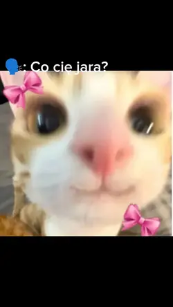 Jara mnie to...